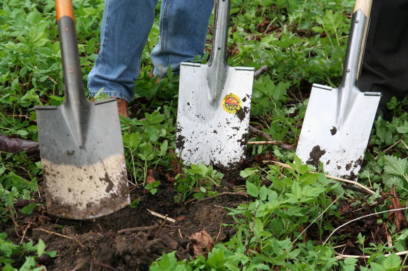 pepiniere-FREJUS-min_work-lawn-flower-tool-green-backyard-1103633-pxhere.com